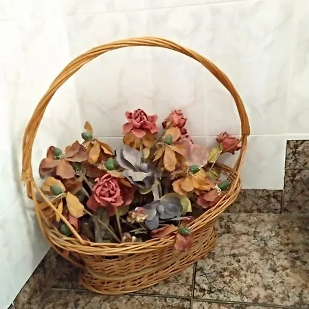 Сasa de vacaciones Casa Elina I I Lucena del Cid