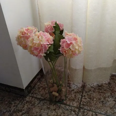 Сasa de vacaciones Casa Elina I I *